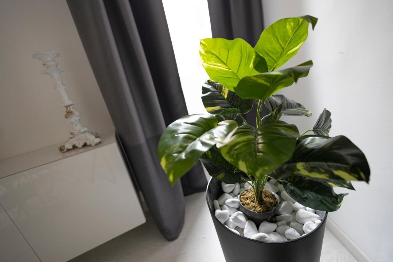 Via Del Babuino 192 Superior Suite Roma Ngoại thất bức ảnh